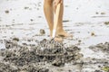 Person raking for clams on a sandy beach