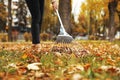 Person raking dry leaves outdoors on autumn day