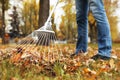 Person raking dry leaves outdoors on autumn day