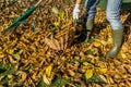 Person raking fallen leaves in the garden.Girl holding a rake and cleaning lawn from leaves during autumn season.Girl standing