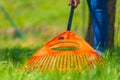 Person raking green lawn