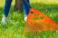 Person raking green lawn