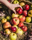 Person Reaching for a Red Apple From a Basket