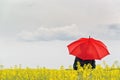 Person with Red Umbrella Standing in Oilseed Rapeseed Agricultura Royalty Free Stock Photo