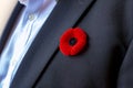 A Person with a remembrance day poppy flower on a black suit Royalty Free Stock Photo