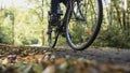 Person riding a bicycle along a forest road