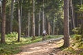 Person riding a bicycle on a pathway surrounded by tall trees