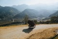 person riding motorbike and carrying wood on mountain road, Sa Pa, Vietnam