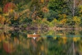 Person rowing a boat in a calm lake during autumn - Fanshawe Lake, Ontario Royalty Free Stock Photo