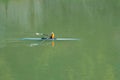 A person rowing boat on tiber River, Rome, Italy