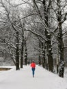 A person running along a path in the park Royalty Free Stock Photo