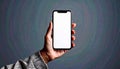 Woman holding smartphone with blank screen on grey background, closeup. Mockup Royalty Free Stock Photo
