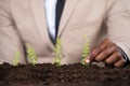 Person`s Hand Planting Small Plant Royalty Free Stock Photo