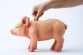 A person saving coins in a piggy bank Royalty Free Stock Photo