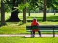 Person seated on a park bench on a sunny spring day.