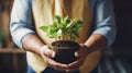 Person Holding a Potted Plant in Their Hands Royalty Free Stock Photo