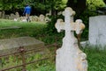 Person seen walking a couple of small dogs through old cemetery during the summer.