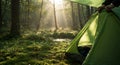 Person Setting Up Green Tent in Misty Forest Sunrise Royalty Free Stock Photo