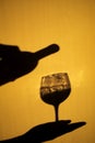 Person Shadow Holding A Wine Glass On Wall. Shadow Of man Drinking Wine