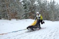 Person on a sled dog racing in Vosges mountains