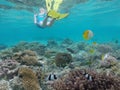 Person snorkelling underwater with coral reef fish in Rarotonga