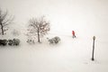 Person in Snow Storm