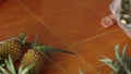 Person sorting pineappls on a market.