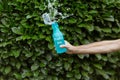 A person sprinkling water in a blue bottle with a plastic-free print in front of green bay laurels