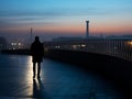 a person standing on a bridge at dusk