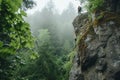 A person standing on a cliff overlooks a dense forest below, A rock climber ascending a daunting cliff, deep in a verdant forest,