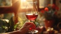Person Holding Glass of Wine Royalty Free Stock Photo