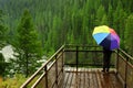 Person Standing in Rain with Rainbow Umbrella on Platform Looking at River Waterfall Pine Forest