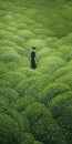 Endless Lawn: A Dreamy Painting Inspired By Hiroshi Nagai And Anka Zhuravleva