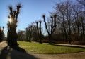 SÃÂ¸ndermarken Park in winter, Copenhagen, Denmark.