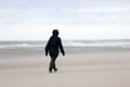 Person strolls on stormy north sea beach in holland with cloudy Royalty Free Stock Photo