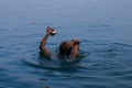Person swimming in the water while holding up a copper bowl in India