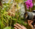 A person taking a macro photograph of a flower