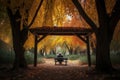 person, taking rest under the canopy of autumn trees, enjoying peaceful solitude