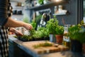 Fresh herbs growing in indoor planters on a sunny kitchen countertop. Royalty Free Stock Photo