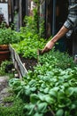 A person tending to a tiny garden outside their small living space