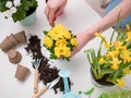 Person transplanting flowers on table with soil, watering can, scoop