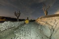 Dry trees at night