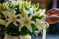 person tying ribbon around a bouquet of lilies