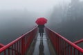 person with umbrella on foggy bridge