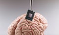 Person use tweezers to put tiny computer chip in plastic human brain model