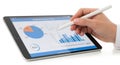 Person using a digital stylus to analyze data on a tablet device with charts and graphs. isolated on white background Royalty Free Stock Photo