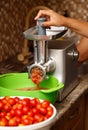 Person is using a food processor to make tomato sauce Royalty Free Stock Photo