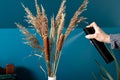 Person using hairspray for preserving dried natural various grass plants spreading seeds and scattering.