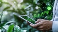 Person using tablet in lush green environment to analyze data trends and growth patterns Royalty Free Stock Photo