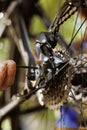 Person using tool to repair bike